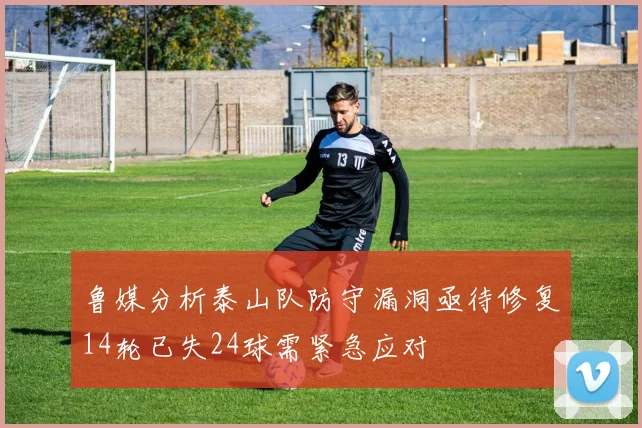 鲁媒分析泰山队防守漏洞亟待修复14轮已失24球需紧急应对